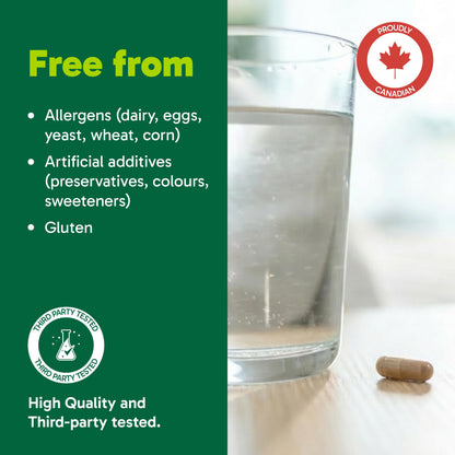 Organika Canadian-Made L-Theanine + Caffeine | Natural Yerba Mate Caffeine & L-Theanine Blend | Focus, Alertness & Calm Energy | 60 vegetarian capsules
