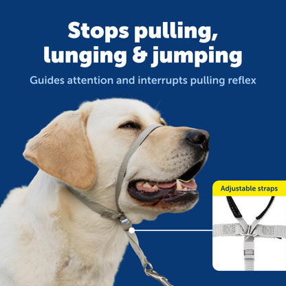 PetSafe Gentle Leader No-Pull Dog Headcollar - The Ultimate Solution to Pulling - Redirects Your Dog's Pulling for Easier Walks - Helps You Regain Control - Large, Charcoal 🍁 All In One Marketplace Canada