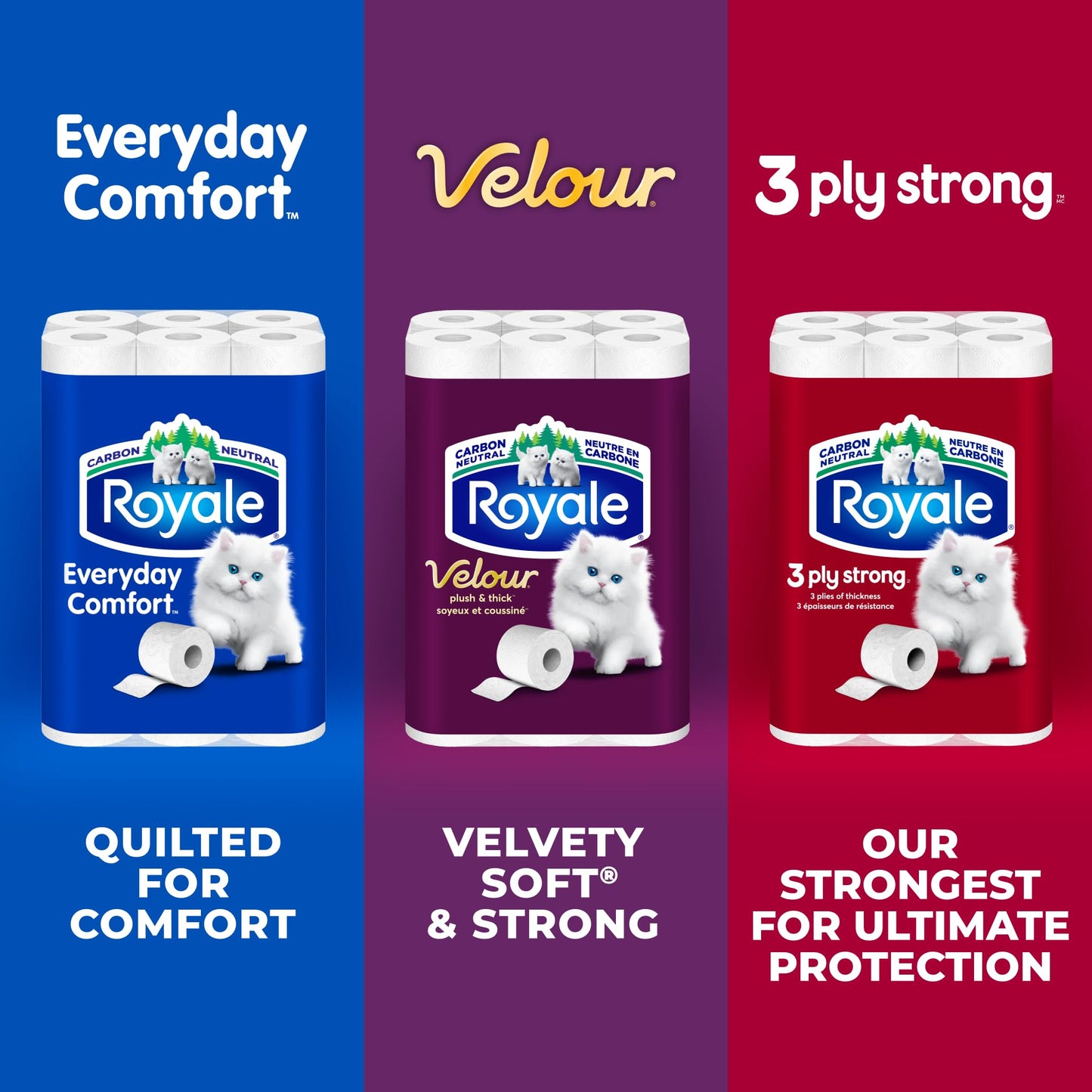 Royale 3-Ply Strong Toilet Paper, 48 Equal 96 Rolls, 165 Bathroom Tissues per roll - Available at All In One Marketplace Canada