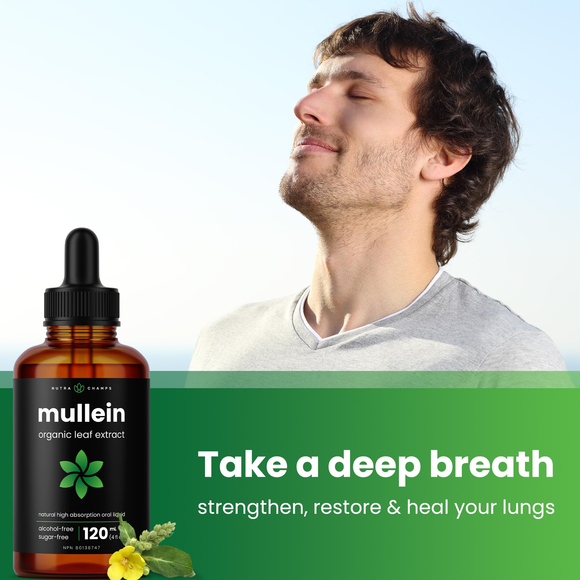 Organic Mullein Leaf Extract for Lungs - 4 Fl Oz - Herbal Tincture for Lung Cleanse & Flush - Natural Mullein Tea Alternative - Mullein Supplement Drops for Lungs - 1,000mg Equivalent Per Serving - Available at All In One Marketplace Canada