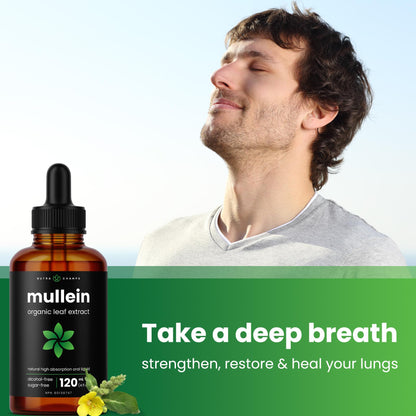 Organic Mullein Leaf Extract for Lungs - 4 Fl Oz - Herbal Tincture for Lung Cleanse & Flush - Natural Mullein Tea Alternative - Mullein Supplement Drops for Lungs - 1,000mg Equivalent Per Serving - Available at All In One Marketplace Canada