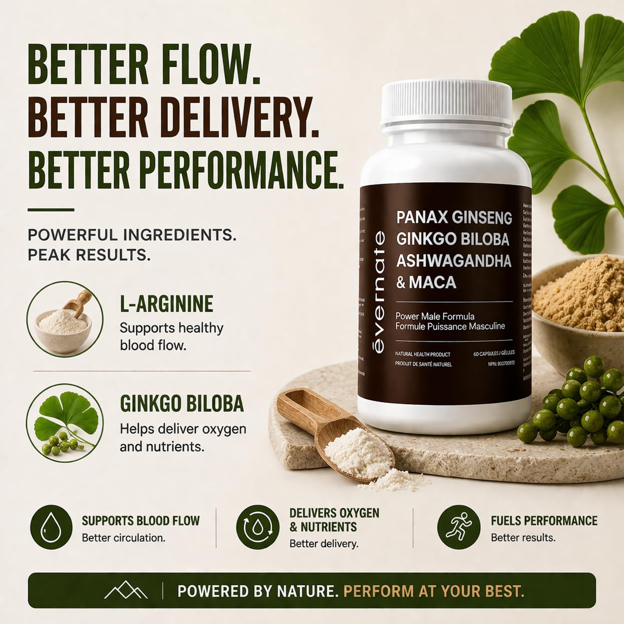 ONE Maca, Ginkgo Biloba, Panax Ginseng, Tribulus, Tongkat Ali, L-Arginine & Ashwagandha – Energy, Stamina, Endurance & Vitality Support – Made in Canada - Available at All In One Marketplace Canada