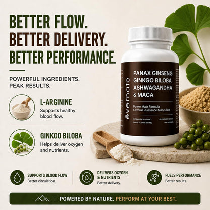 ONE Maca, Ginkgo Biloba, Panax Ginseng, Tribulus, Tongkat Ali, L-Arginine & Ashwagandha – Energy, Stamina, Endurance & Vitality Support – Made in Canada - Available at All In One Marketplace Canada