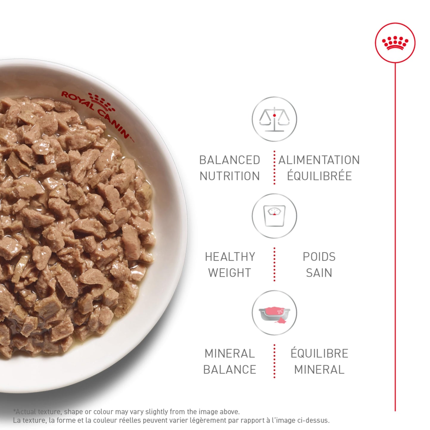 Royal Canin Adult Instinctive Thin Slices in Gravy Wet Cat Food, 3 oz can (12-Count) - Available at All In One Marketplace Canada