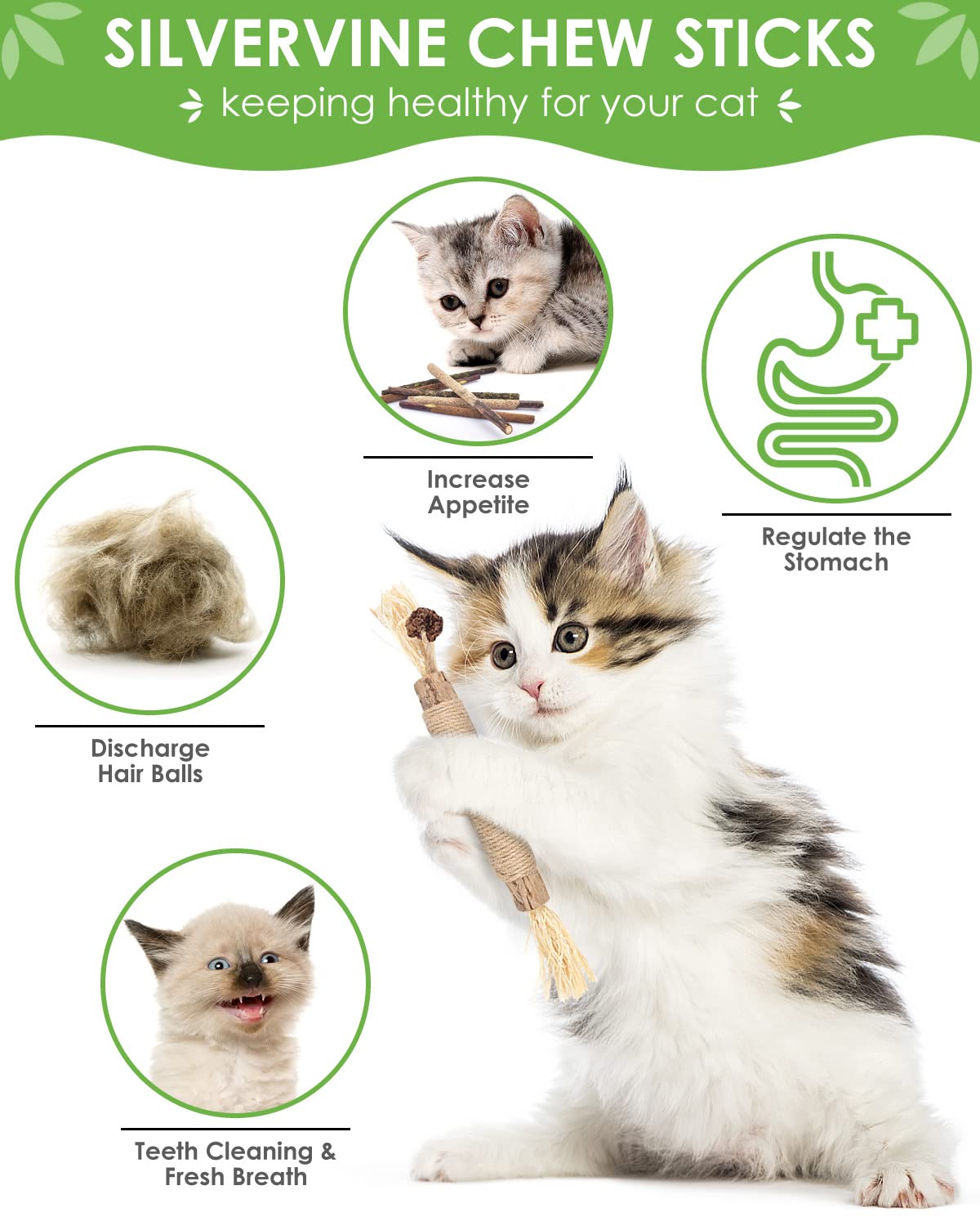 TINDTOP Silvervine Sticks for Cats, 10 Pack Natural Catnip Chew Toys for Kittens Teeth Cleaning, Matatabi Dental Care, Increase Appetite, Calm Cat Anxiety and Stress, Aggressive Chewers Cat Dental Toy