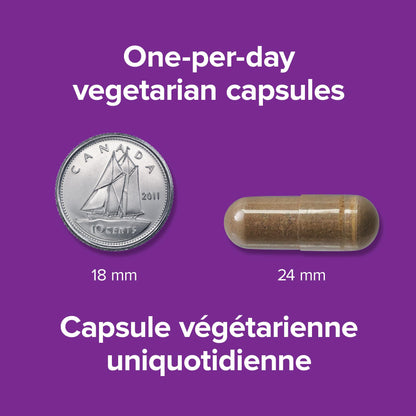 Webber Naturals Ashwagandha 6000 mg, 120 Capsules, Adaptogen to Help Reduce Stress & Increase Energy, Vegan - Available at All In One Marketplace Canada