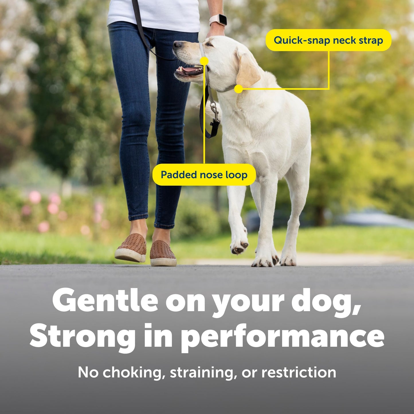PetSafe Gentle Leader No-Pull Dog Headcollar - The Ultimate Solution to Pulling - Redirects Your Dog's Pulling for Easier Walks - Helps You Regain Control - Large, Charcoal 🍁 All In One Marketplace Canada