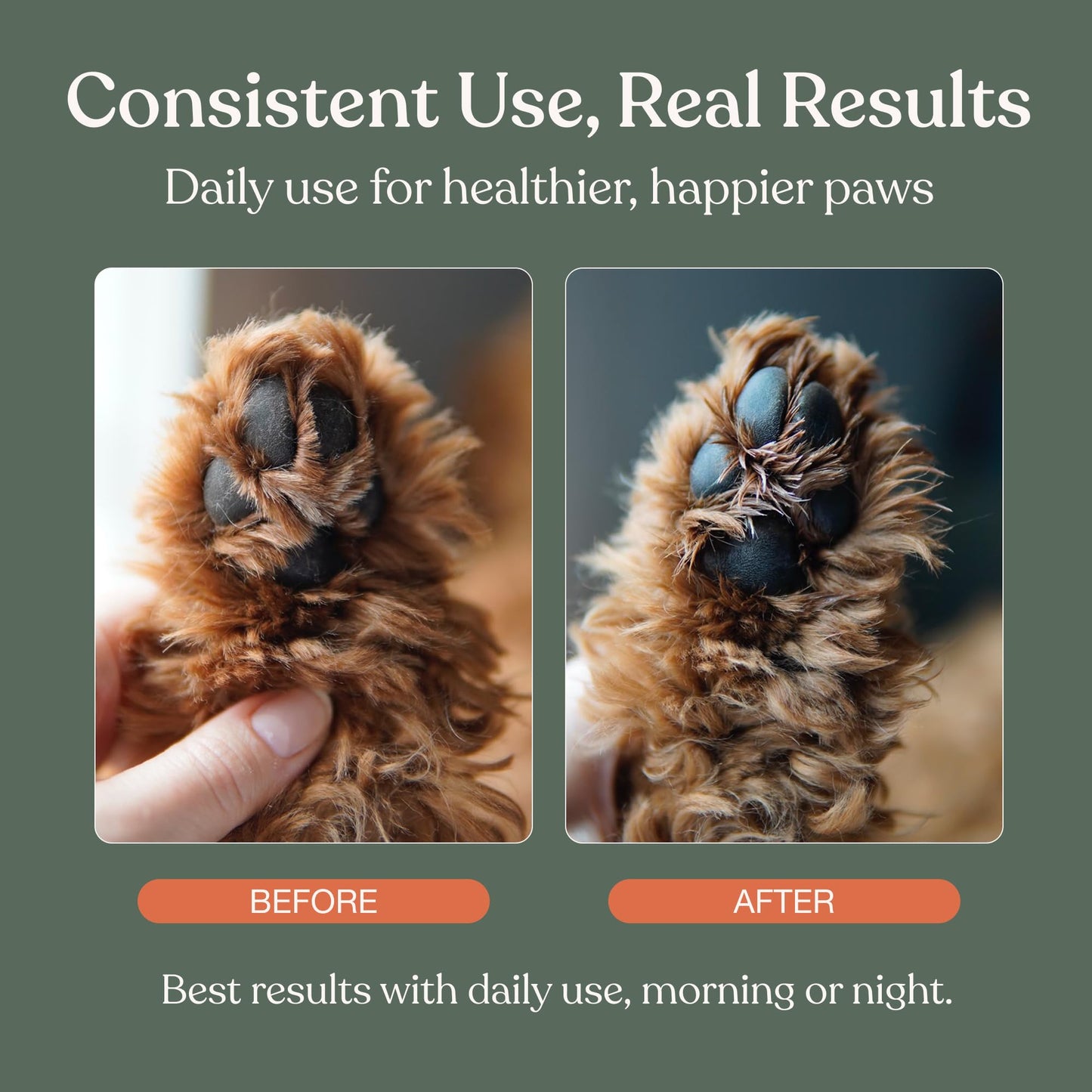Dandylion Dog Paw Balm, Soft Paws, Paw Moisturizer for Dogs, Dog Lotion with Brush, Fragrance Free pH Balanced Lotion for Paws, Lightweight Moisture for Dry Cracked Paw Pads and Nose, 0.6 fl oz - Available at All In One Marketplace Canada