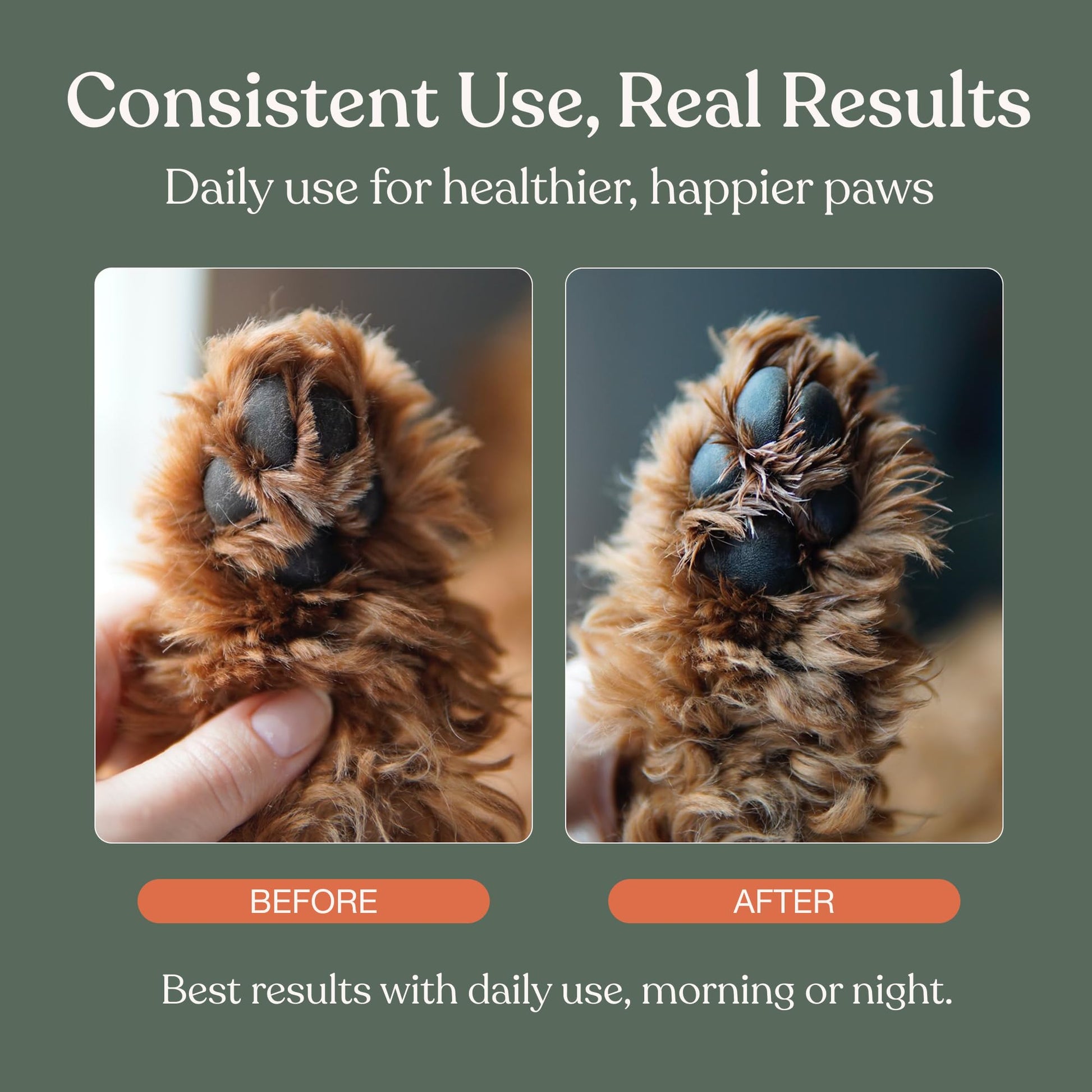 Dandylion Dog Paw Balm, Soft Paws, Paw Moisturizer for Dogs, Dog Lotion with Brush, Fragrance Free pH Balanced Lotion for Paws, Lightweight Moisture for Dry Cracked Paw Pads and Nose, 0.6 fl oz - Available at All In One Marketplace Canada