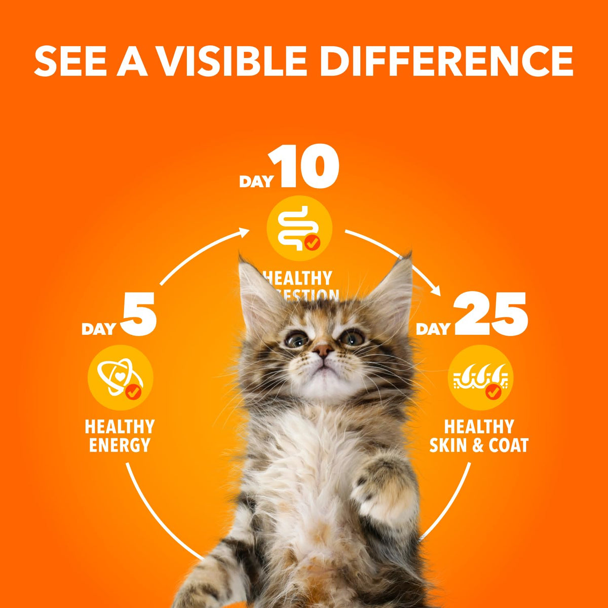 IAMS PERFECT PORTIONS Kitten Wet Cat Food, Chicken Flavour, 75g (24 pack)