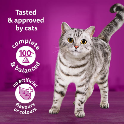 WHISKAS Meaty Selections Dry Cat Food with Real Chicken, Large 9.1kg Bag