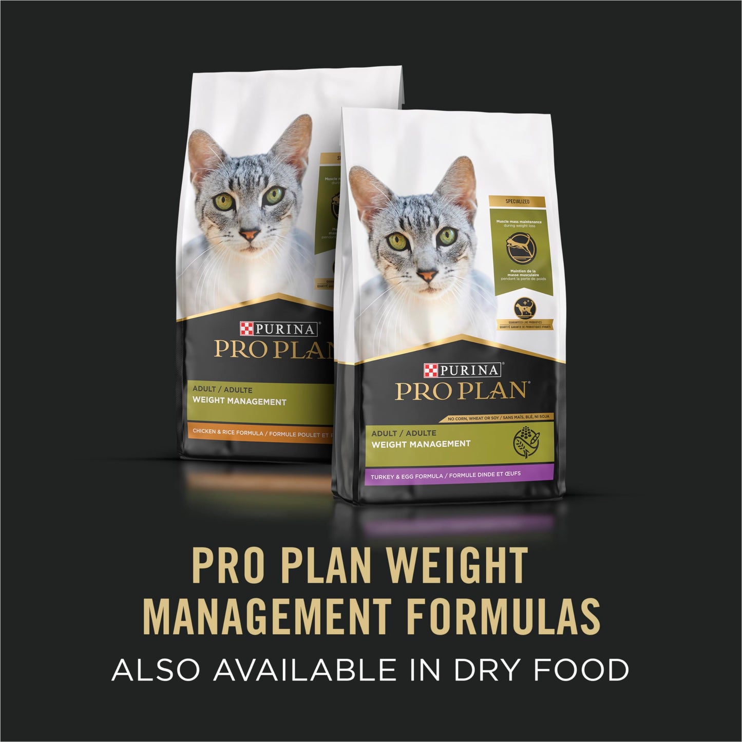 Purina Pro Plan Wet Cat Food, Focus, Adult Weight Management Turkey and Rice Entre, 3-Ounce Can, Pack of 24 Pro Plan