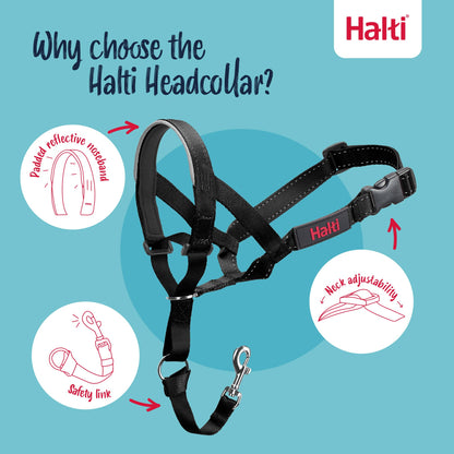 Halti Headcollar - Stop Your Dog Pulling on the Leash. Adjustable, Reflective and Lightweight, with Padded Nose Band. Dog Training Anti-Pull Collar for Medium Dogs (Size 3, Black) 🍁 All In One Marketplace Canada
