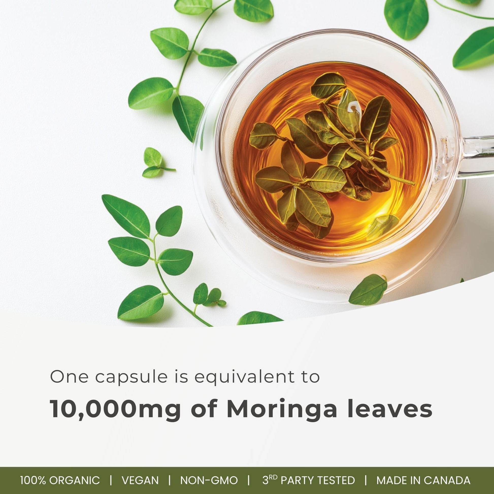 Herba 10,000MG Organic Moringa Capsules – 180 Count | Ultra Potent - 20:1 Extract | Made in Canada | Pure Moringa Capsules using Organic Moringa Powder - Available at All In One Marketplace Canada