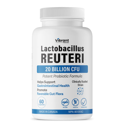 Lactobacillus Reuteri Probiotic 20 Billion CFU - L Reuteri Probiotic - Highest CFU Count, Gut Health, Yogurt Starter Culture, Probiotic With Prebiotic FOS, Made In Canada, 60 Capsules - Available at All In One Marketplace Canada