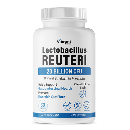 Lactobacillus Reuteri Probiotic 20 Billion CFU - L Reuteri Probiotic - Highest CFU Count, Gut Health, Yogurt Starter Culture, Probiotic With Prebiotic FOS, Made In Canada, 60 Capsules - Available at All In One Marketplace Canada