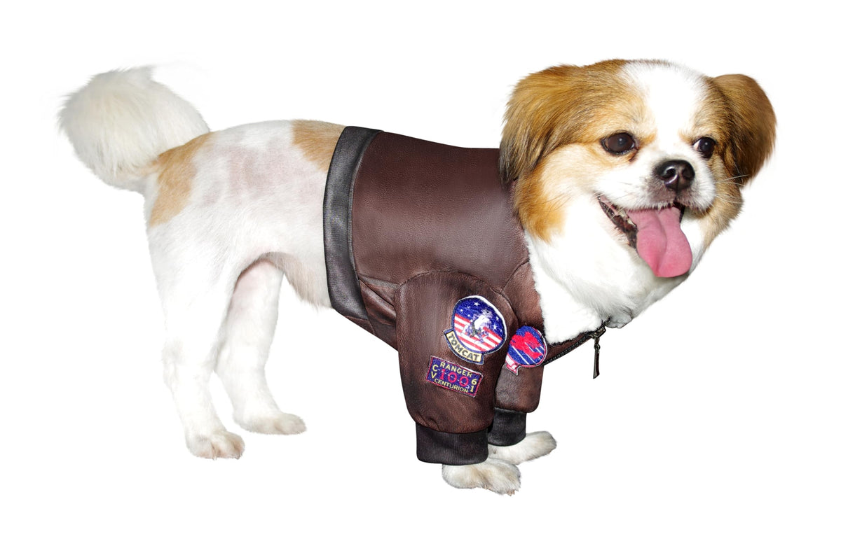 Costume pour animal de compagnie Rubies Top Gun Classic Movie, très grande taille, pour soirées à thème et Halloween