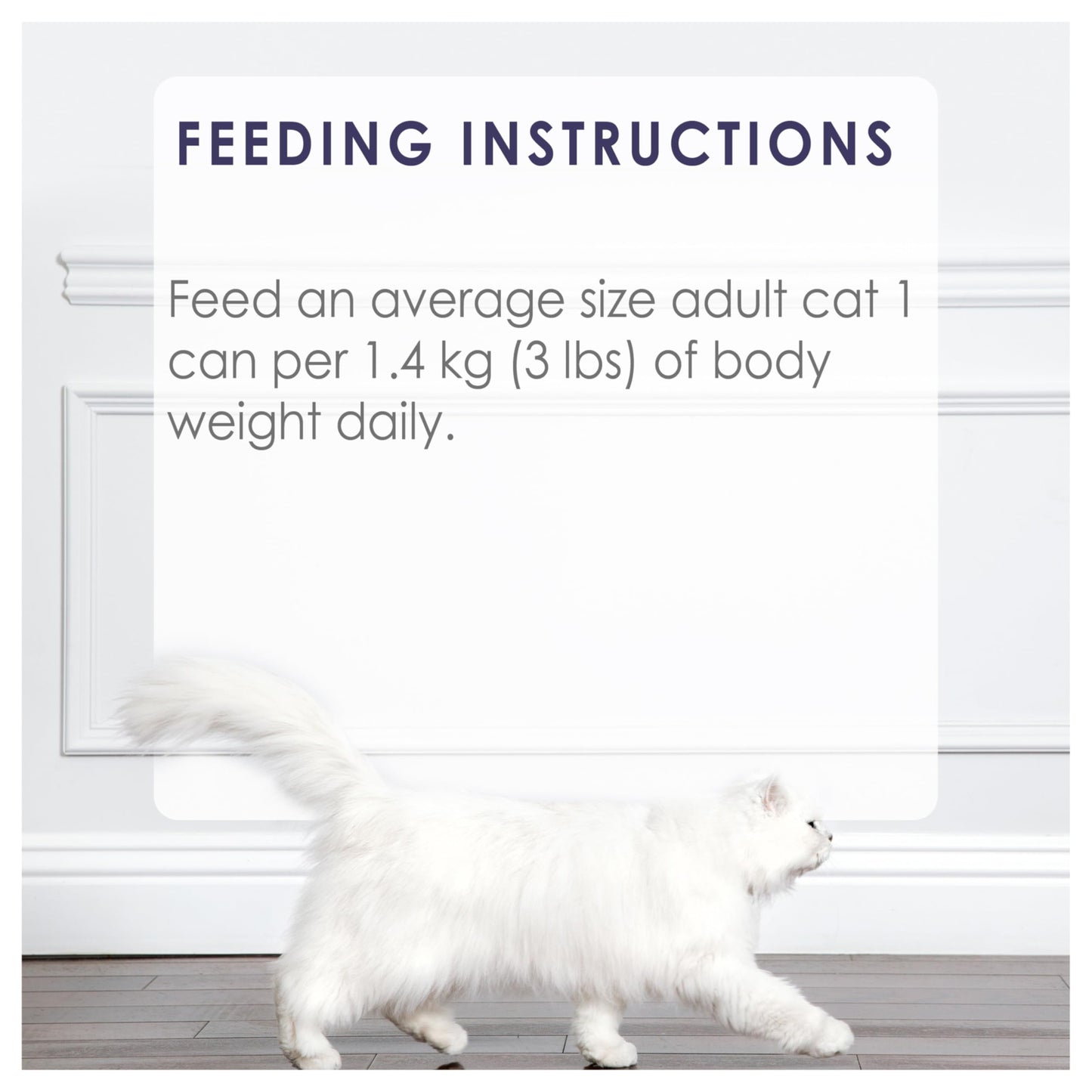 Fancy Feast Grilled Wet Cat Food, Turkey Feast in Gravy - 85 g Can (24 Pack) Fancy Feast