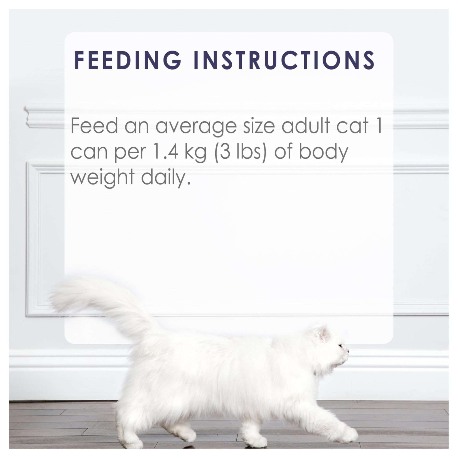 Fancy Feast Grilled Wet Cat Food, Turkey Feast in Gravy - 85 g Can (24 Pack) Fancy Feast