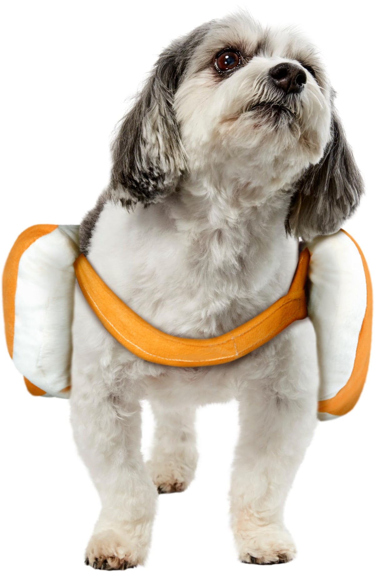 Costume pour animal de compagnie, collection Halloween Classics de Rubies Costume Co., taille M, hot-dog