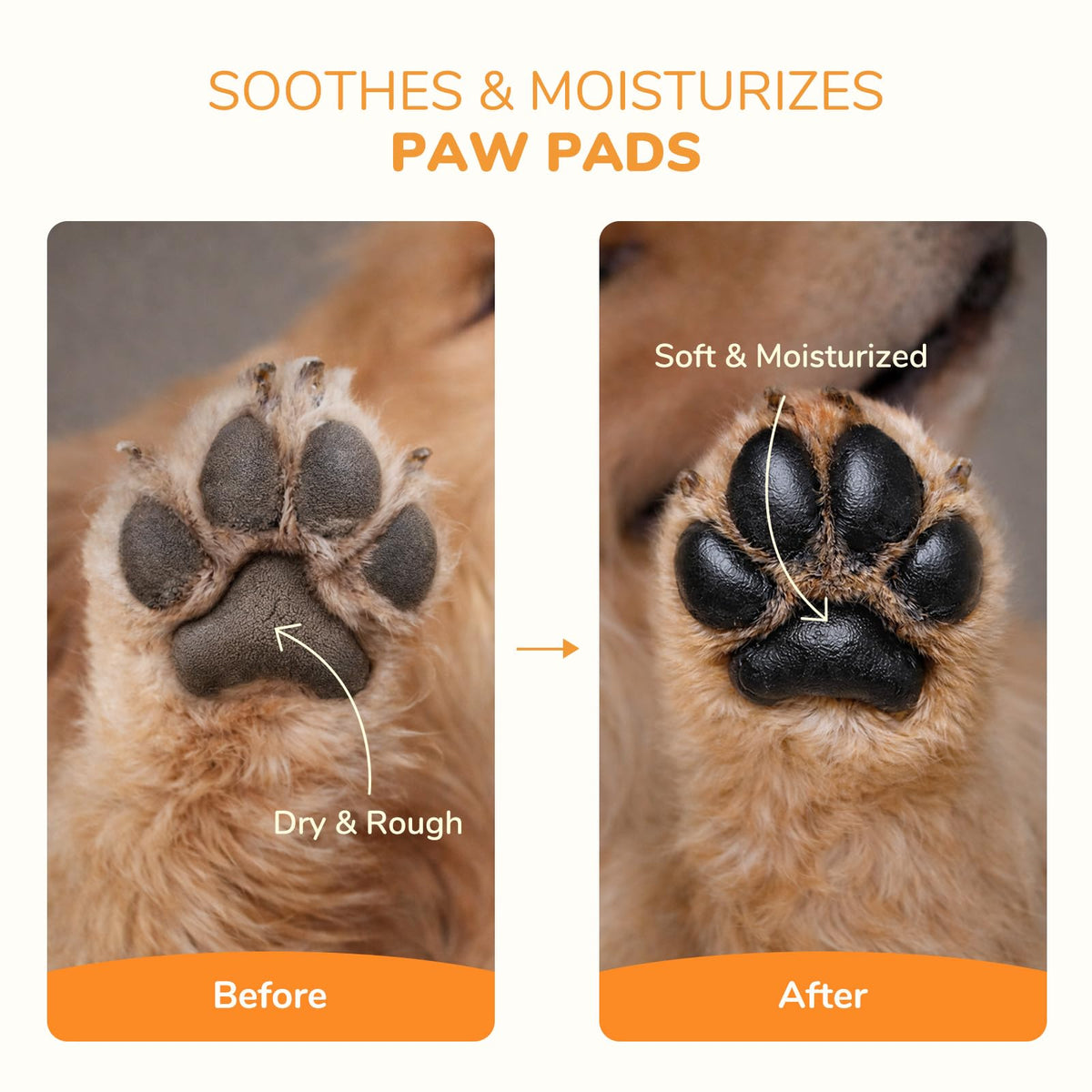 Lick-Safe Dog Paw & Nose Balm | 2.1 oz All Natural Wax with Coconut Oil 🍁 All In One Marketplace Canada