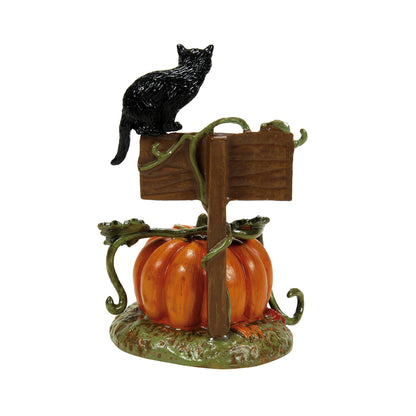 Figurine Department 56 Village Collection Accessories Halloween Feline Noir 2024, édition limitée datée, 9,5 cm, multicolore