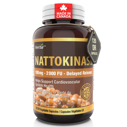 Herba Nattokinase Supplement 2000 FU – 100mg, 120 Delayed Release Capsules | Helps to Support Heart Health | Made in Canada - Available at All In One Marketplace Canada