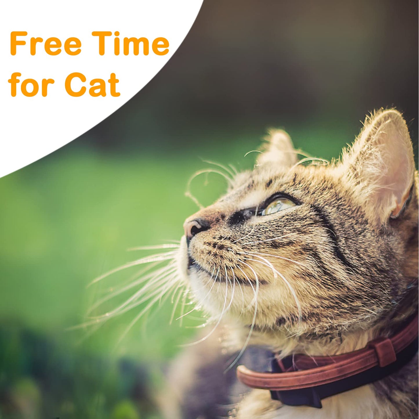 Extra Long Cat Leash for Yard, 9M/30FT Lightweight Outdoor Cat Leash Long Light Extension, Long Thin Lead for Rabbits, Kitten, Puppy and Small Animals - Available at All In One Marketplace Canada