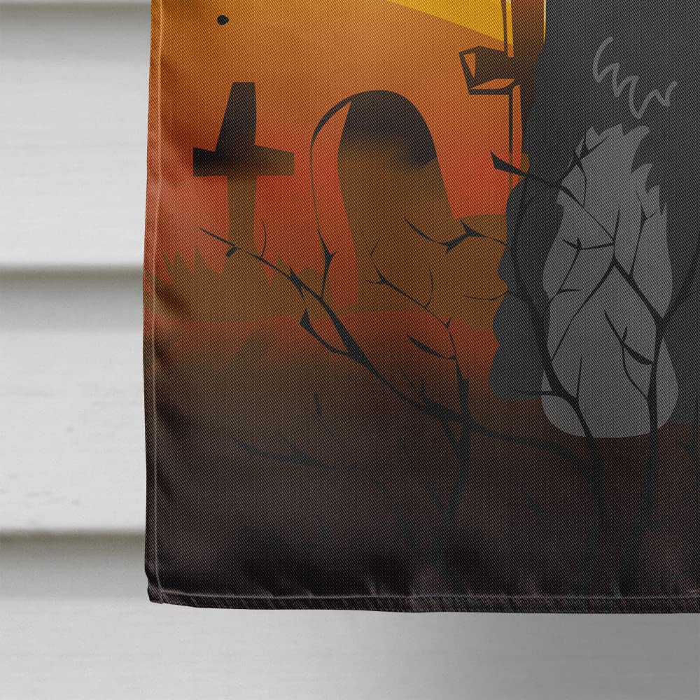 Caroline's Treasures BB4298CHF Halloween Standard Schnauzer Black Flag Canvas House Size, Large, Multicolor