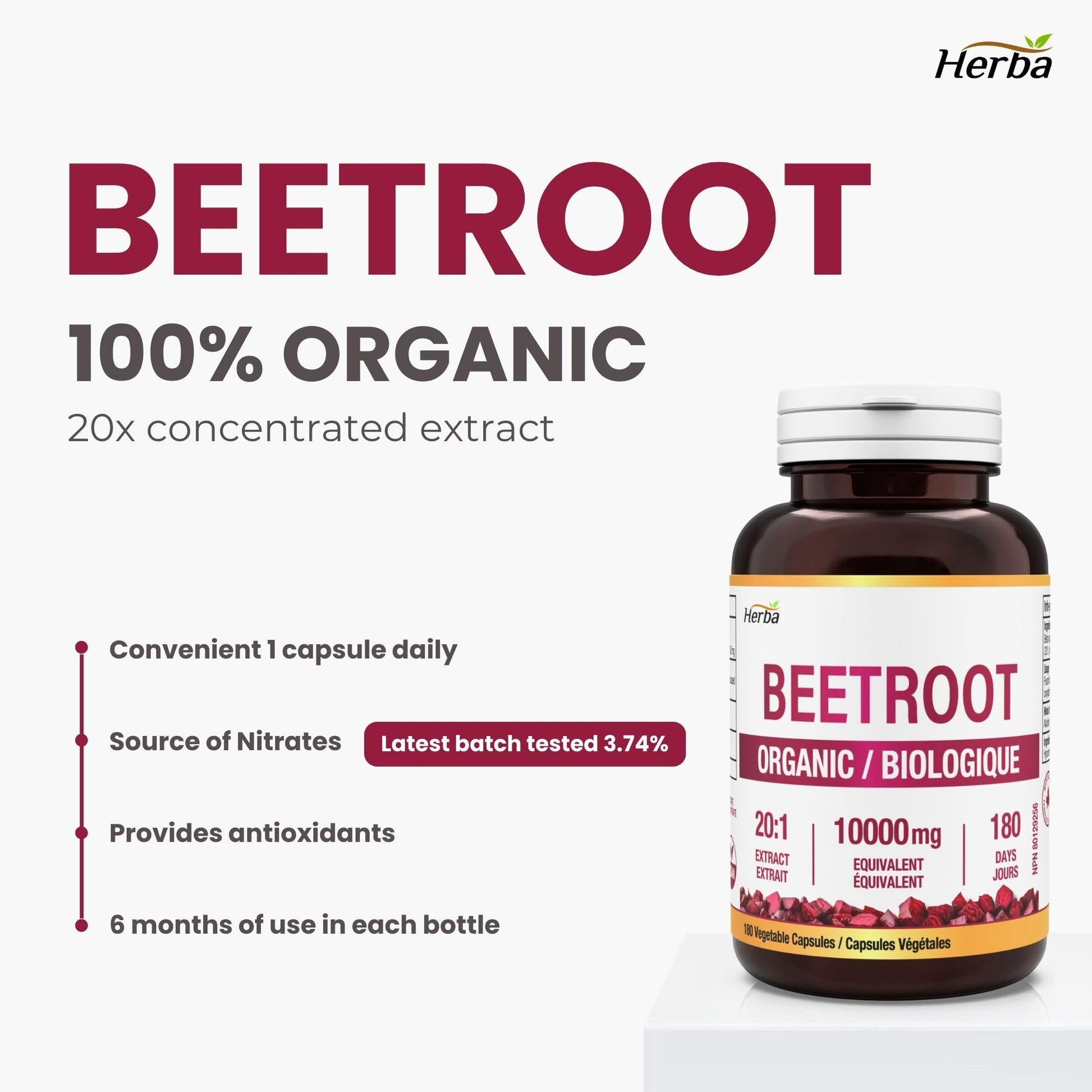 Herba 10,000mg Organic BeetRoot Capsules – 180 Count | 20:1 Beet Root Powder in Capsule | Nitric Oxide Supplements for Men & Women | Made in Canada - Available at All In One Marketplace Canada