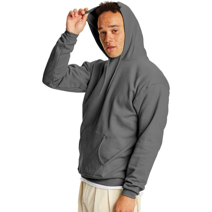 Hanes mens Pullover Ecosmart Hooded athletic sweatshirts, Smoke Gray, Large