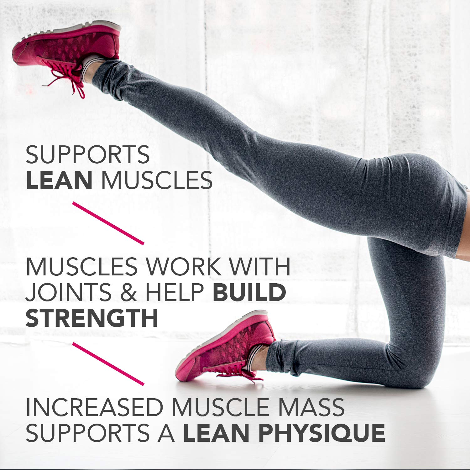 Pure Protein Variety Pack - 18 Bars (Chocolate Peanut Butter, Chewy Chocolate Chip, Chocolate Deluxe)