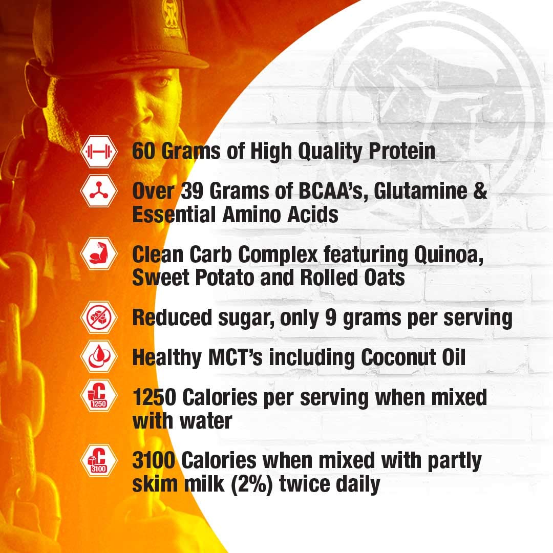 MAMMOTH MASS Weight Gainer Protein Powder – High Calorie Muscle Building Shake, Whey Isolate & Casein Blend, Low Sugar, 15 lb, Chocolate
