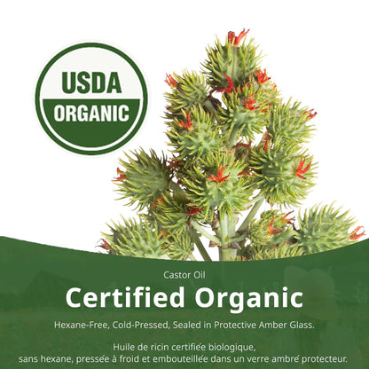 ST FRANCIS HERB FARM Castor Oil (500ml) USDA Certified Organic, Cold Pressed, Hexane-Free, GMO Free, Vegan, Vegetarian, Sealed in Protective Amber Glass (1 Bottle) Hair, Skin, and Nail Care - Available at All In One Marketplace Canada