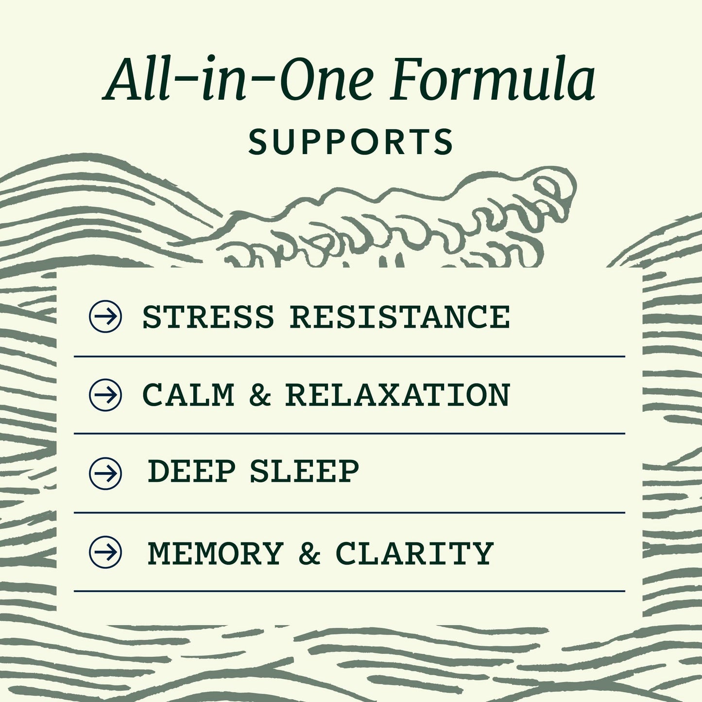 L Theanine, Magnesium Glycinate + Ashwagandha Supplement | Relaxation, Sleep & Memory Support | Stress Relief, Calm, Mood & Sleep Supplements | Made in Canada & Non-GMO | 120 Ct - Available at All In One Marketplace Canada