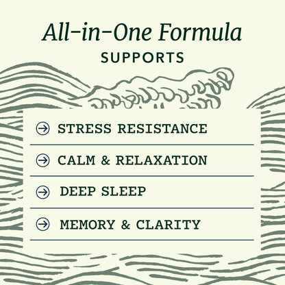 L Theanine, Magnesium Glycinate + Ashwagandha Supplement | Relaxation, Sleep & Memory Support | Stress Relief, Calm, Mood & Sleep Supplements | Made in Canada & Non-GMO | 120 Ct - Available at All In One Marketplace Canada