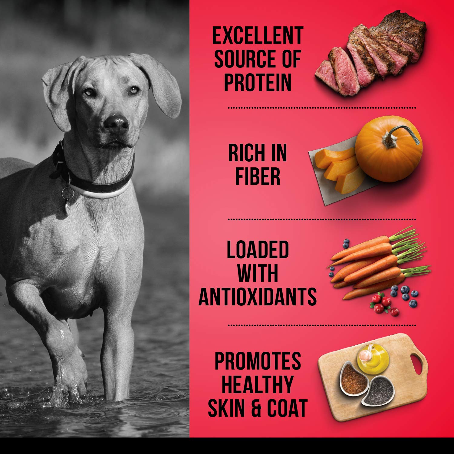 Zoe Grain Free Dog Food, All Breeds, Beef with Peas & Pumpkin, 5 kg Zoë