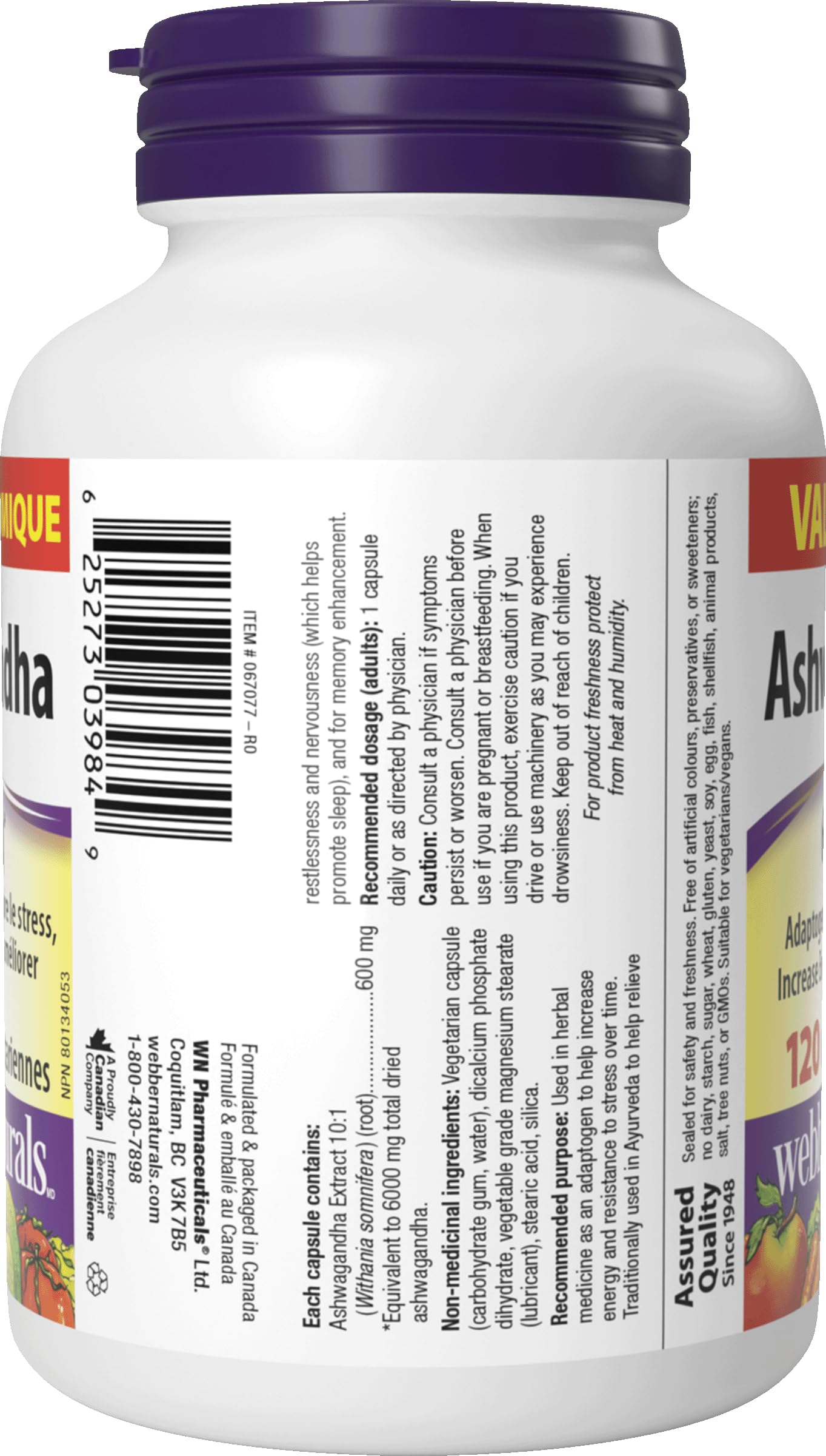 Webber Naturals Ashwagandha 6000 mg, 120 Capsules, Adaptogen to Help Reduce Stress & Increase Energy, Vegan - Available at All In One Marketplace Canada