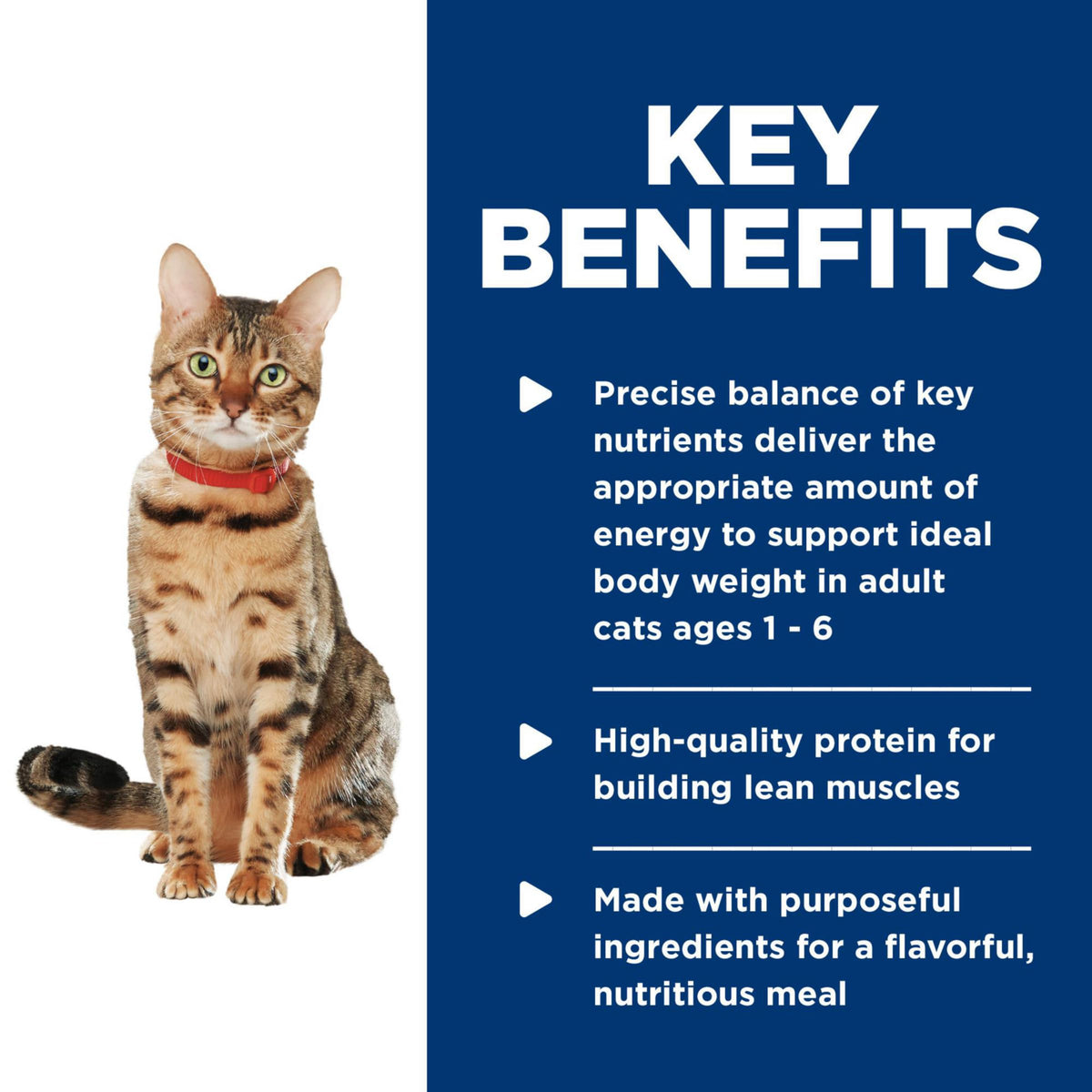 Hill's Science Diet, Healthy Cuisine Adult 1-6, Wet Cat Food, 2.8ozx24 Cans