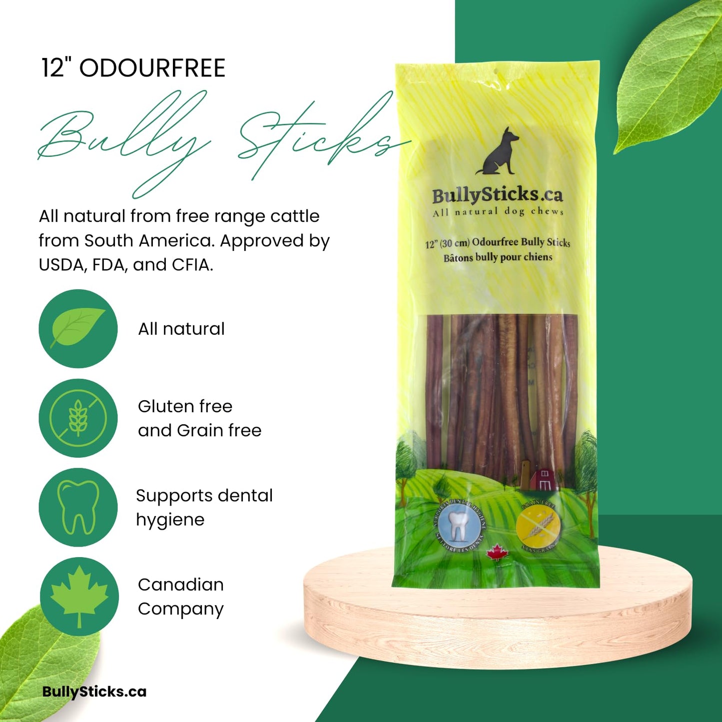 ODOURFREE 12" Standard Bully Sticks for Dogs (10 Pack) Dental Chew - Rawhide Free - Supports Dental Hygiene - Single Beef Ingredient - Consistent Size - Canadian Company