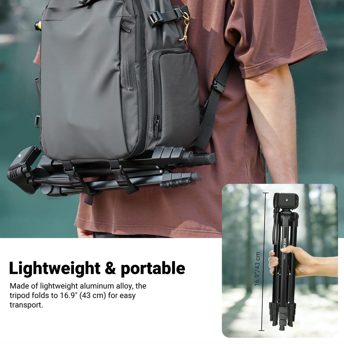 NEEWER Entry Level Version TP53 Tripod for Cell Phone & Camera, Metal NEEWER