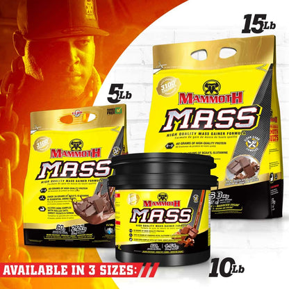 MAMMOTH MASS Weight Gainer Protein Powder – High Calorie Muscle Building Shake, Whey Isolate & Casein Blend, Low Sugar, 15 lb, Chocolate