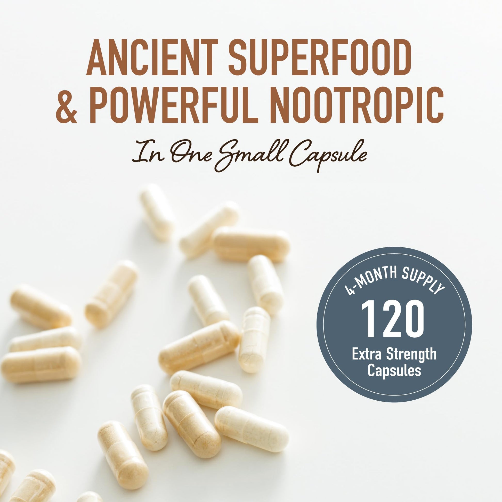 Lion’s Mane Supplement & Nootropic for Mental Clarity | 4 Month Supply | Performance & Memory Support | Antioxidant Rich & Immunomodulating Mushroom | Extra Strength Lions Mane 500mg | Non-GMO 120ct - Available at All In One Marketplace Canada