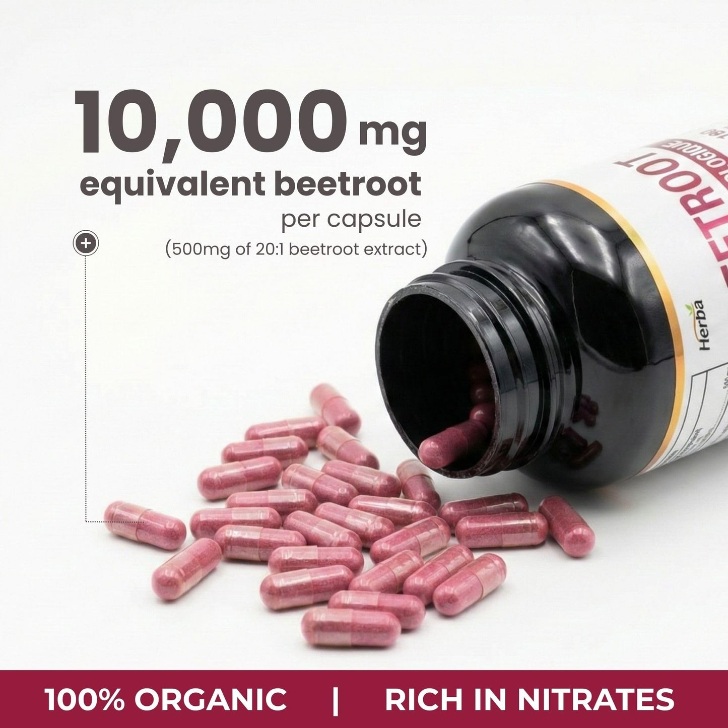 Herba 10,000mg Organic BeetRoot Capsules – 180 Count | 20:1 Beet Root Powder in Capsule | Nitric Oxide Supplements for Men & Women | Made in Canada - Available at All In One Marketplace Canada