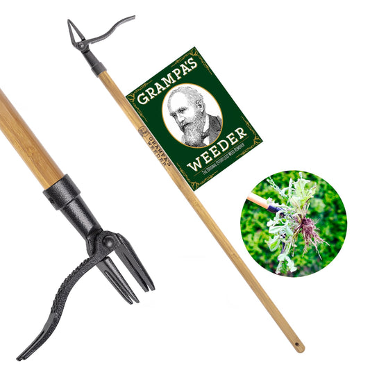 Grampa's Weeder - The Original Stand Up Weed Puller - Made with Real Bamboo & Steel Head Design - Easily Remove Weeds While Saving Your Knees & Back - Available at All In One Marketplace Canada
