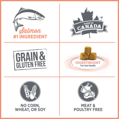Nutrience Care Sensitive Skin & Stomach Hypoallergenic Adult Dog Food, 10 kg (22 lb), Salmon & Pumpkin, Grain & Gluten Free, Fresh Canadian Protein, Dry Dog Food, Nourriture Pour Chien - Available at All In One Marketplace Canada