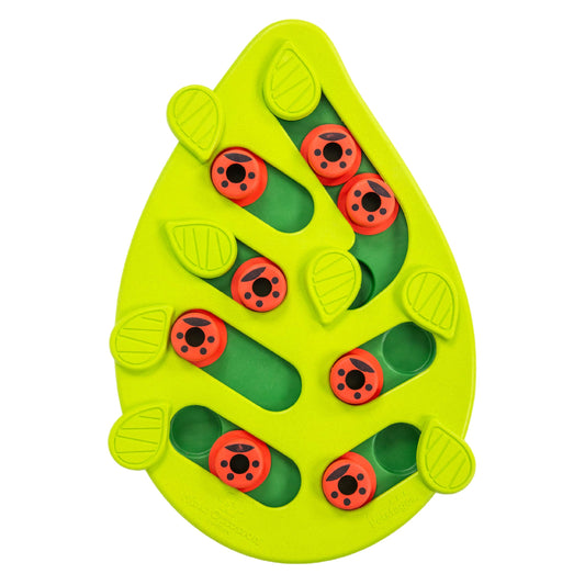 Catstages Buggin' Out Puzzle & Play, Interactive Treat Puzzle Cat Toy, Green - Available at All In One Marketplace Canada
