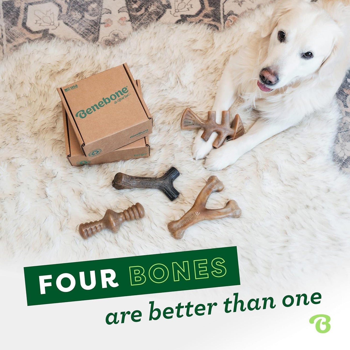Benebone Small 4-Pack Dog Toys for Aggressive Chewers – Under 30 lbs