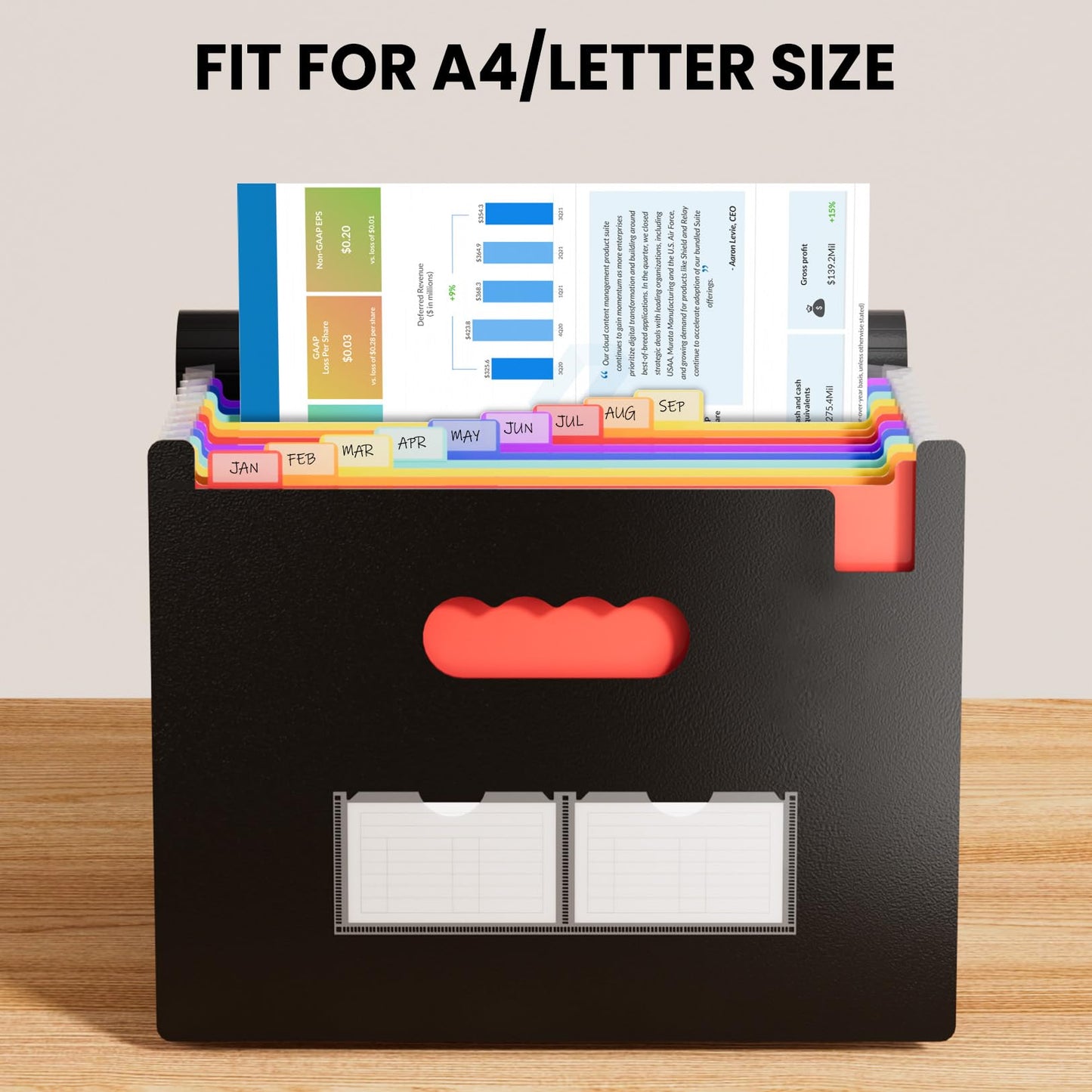 Sooez Accordion File Organizer, 13 Pockets Expanding File Folders, Portable Monthly Paper Bill Tax Receipt Organizer, Letter A4 Size Document Holder with Blank Labels, Black