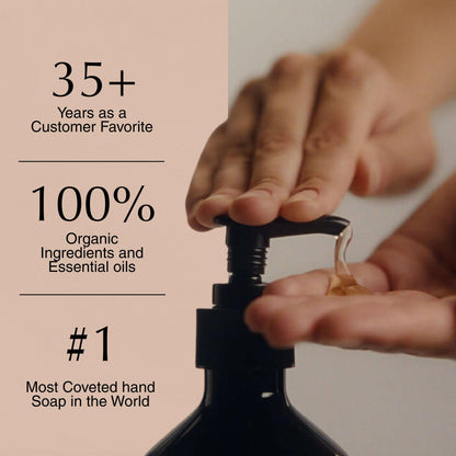 Aesop Resurrection Aromatique Hydrating Hand Wash | Gentle Non-Drying Hand Soap with Mandarin Rind, Rosemary, & Lavender | Moisturizing Kitchen & Bathroom Soap | 16.9 oz Aesop